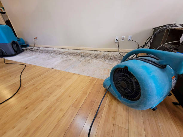 Professional Structural Drying technician working in Jacksboro, TX